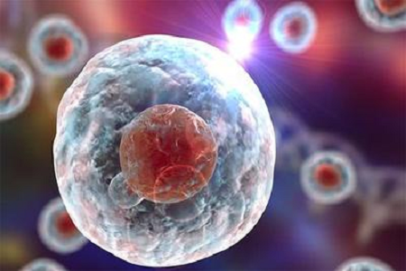 BABIO Launches High-Quality Giemsa Stain B Solution for Advanced Cytogenetic and Hematologic Diagnostics