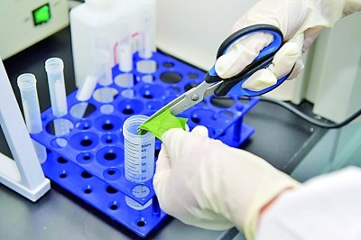 Reliable Bacterial Identification Made Simple with BABIO’s Gram Stain Kit