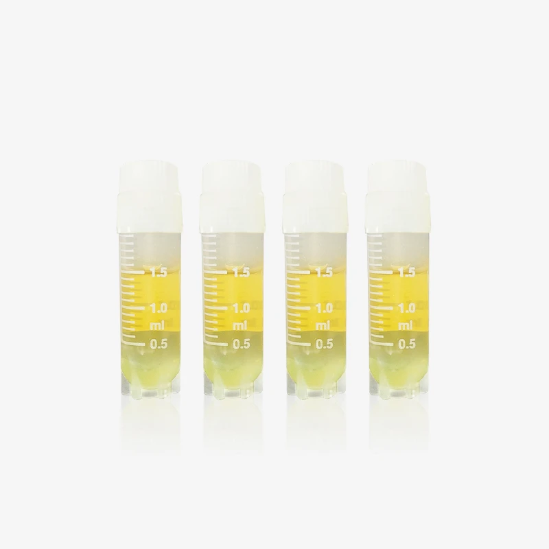 STGG Transport Medium by BABIO: Reliable Cold Chain Solution for Respiratory Diagnostics