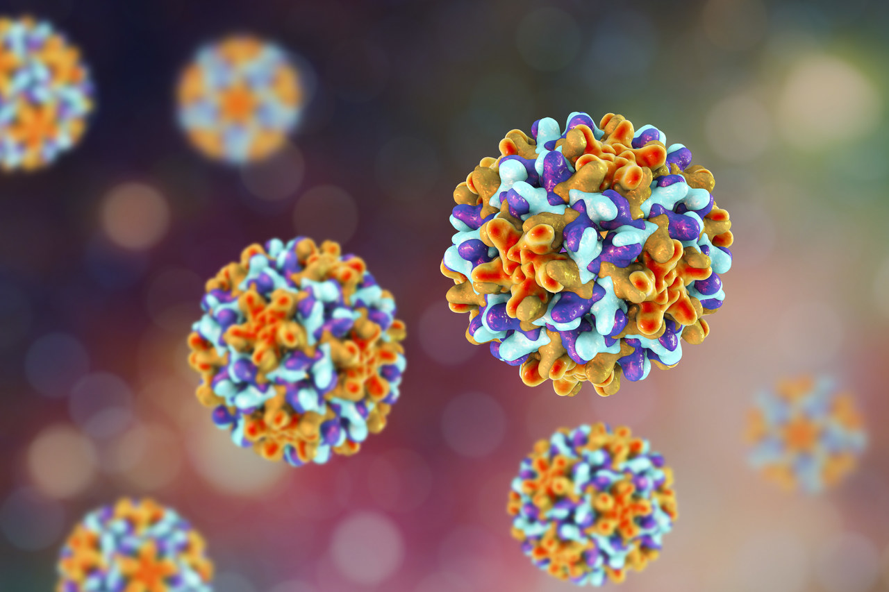 Reliable Transport Solution for Clinical Microbiology: Babio’s Liquid Amies Media