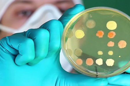 Babio Launches High-Quality Brilliant Green Lactose Bile Broth for Food and Water Testing