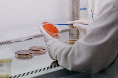 BABIO Introduces Potato Dextrose Agar (USP) for Reliable Mold and Yeast Testing