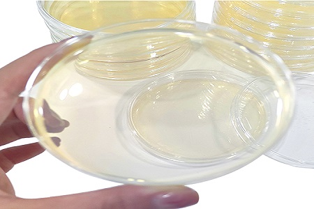 BABIO Launches High-Performance R2A Agar Medium for Environmental Microbial Monitoring
