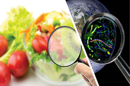 BABIO Launches Aflatoxin B1 Rapid Test Cassette for Global Food Safety Control