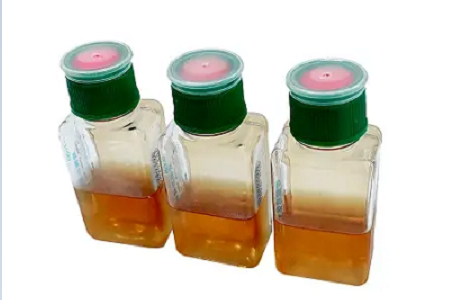 BABIO Blood Culture Bottles Support Faster, More Reliable Detection of Bloodstream Infections
