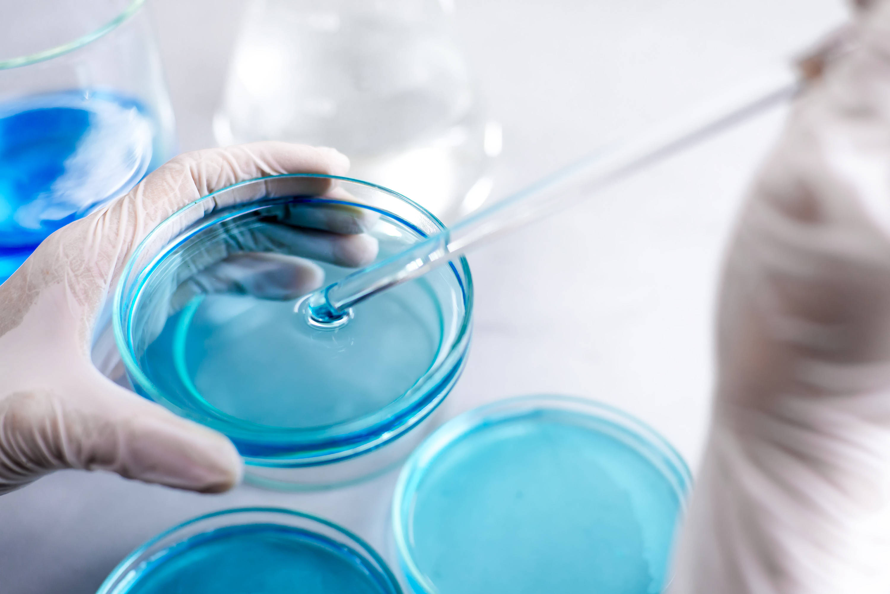 BABIO Introduces Reliable SDA Medium for Fungal Detection
