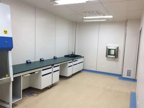 Blood Culture Bottle: Advancing Pathogen Detection with Babio