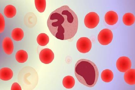 BABIO Launches the HBcAb Hepatitis B Core Ab Rapid Test for Global Markets