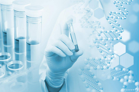BABIO Salmonella Shigella Enrichment Medium Enhances Enteric Pathogen Detection