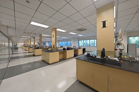 R2A Agar Medium: A Smart Choice for Environmental Microbial Monitoring
